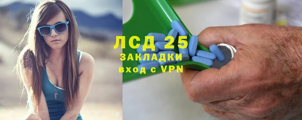 PSILOCYBIN Армянск